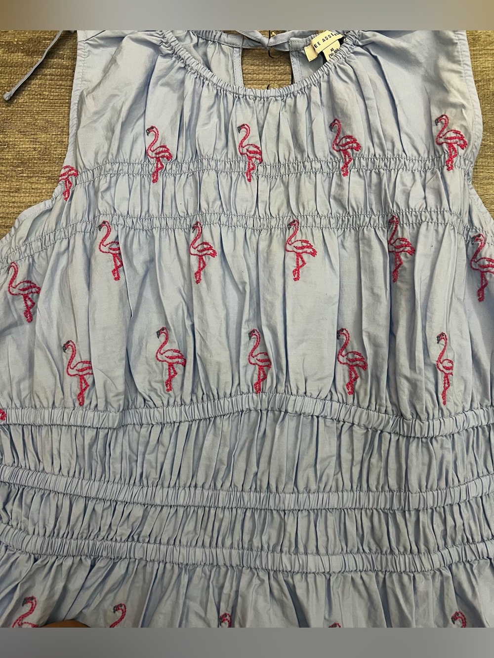 Free Assembly Light Blue Flamingo Embroidered Smocked Sleeveless Knee Dress - Picture 2 of 4